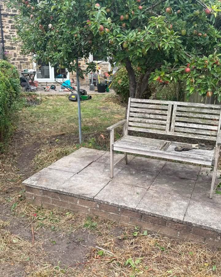 After: cleared garden with the patio, bench and apple tree opened up