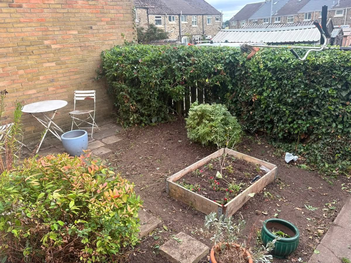 Cleared garden bed with a raised planter and trimmed hedge